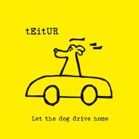 teitur-let_the_dog_drive_home.jpg