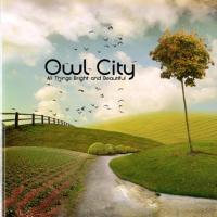 Owl_City.jpg