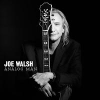 Joe_Walsh.jpg